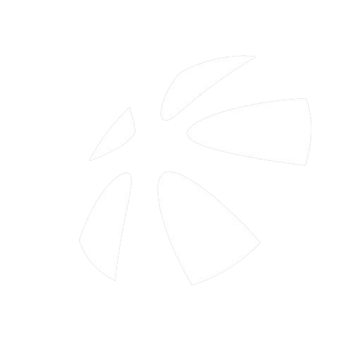 Partner logo 2